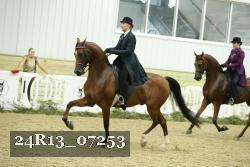 24R13_07253 thumbnail