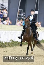 24R13_07256 thumbnail