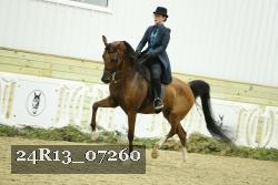 24R13_07260 thumbnail