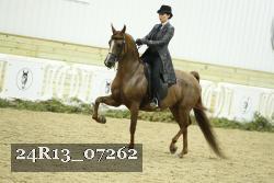 24R13_07262 thumbnail