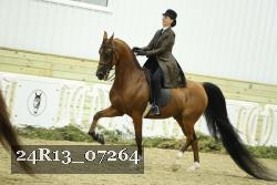 24R13_07264 thumbnail