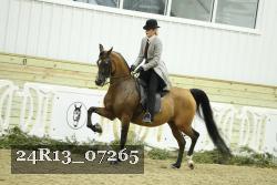24R13_07265 thumbnail