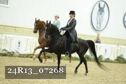24R13_07268 thumbnail