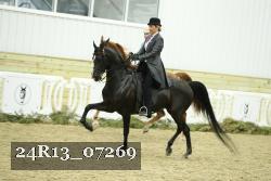 24R13_07269 thumbnail