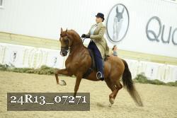 24R13_07271 thumbnail