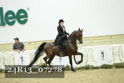 24R13_07278 thumbnail