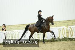 24R13_07279 thumbnail