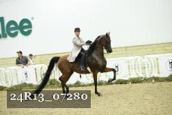 24R13_07280 thumbnail