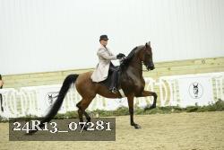 24R13_07281 thumbnail