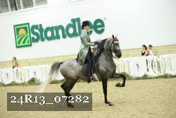 24R13_07282 thumbnail