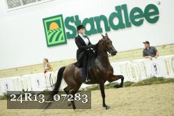 24R13_07283 thumbnail
