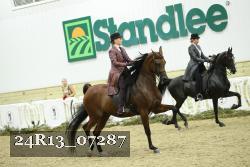 24R13_07287 thumbnail
