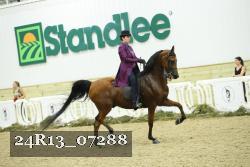24R13_07288 thumbnail