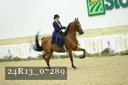 24R13_07289 thumbnail