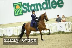24R13_07290 thumbnail