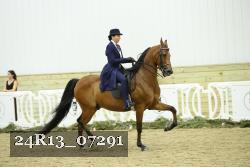 24R13_07291 thumbnail