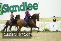 24R13_07297 thumbnail