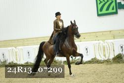 24R13_07299 thumbnail