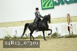 24R13_07301 thumbnail