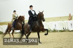 24R13_07304 thumbnail