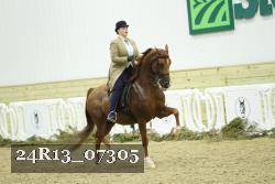 24R13_07305 thumbnail