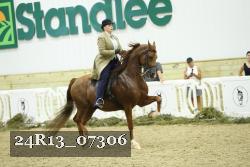24R13_07306 thumbnail