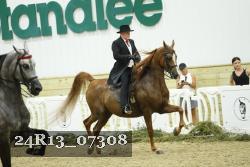 24R13_07308 thumbnail