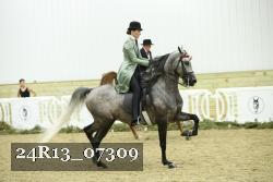 24R13_07309 thumbnail