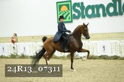 24R13_07311 thumbnail