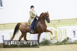 24R13_07321 thumbnail