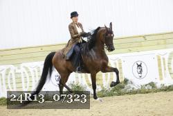 24R13_07323 thumbnail