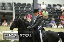 24R13_07331 thumbnail