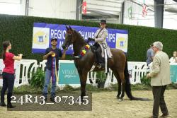 24R13_07345 thumbnail