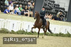 24R13_07347 thumbnail