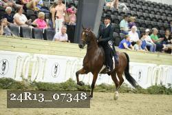 24R13_07348 thumbnail
