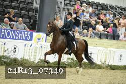 24R13_07349 thumbnail