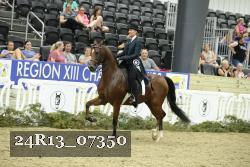 24R13_07350 thumbnail