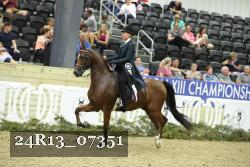 24R13_07351 thumbnail