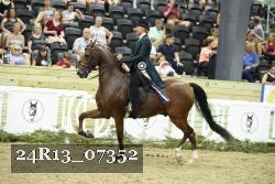24R13_07352 thumbnail