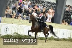 24R13_07353 thumbnail