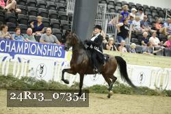 24R13_07354 thumbnail