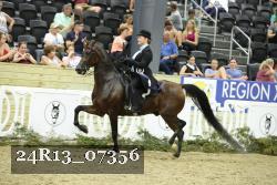 24R13_07356 thumbnail