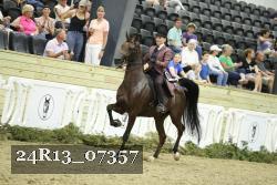 24R13_07357 thumbnail