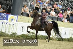 24R13_07358 thumbnail