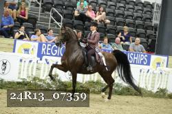 24R13_07359 thumbnail