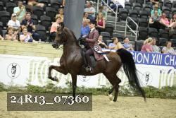 24R13_07360 thumbnail