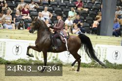 24R13_07361 thumbnail