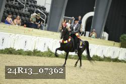 24R13_07362 thumbnail