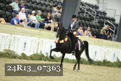 24R13_07363 thumbnail