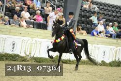 24R13_07364 thumbnail